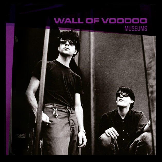 Wall of Voodoo — Museums album cover